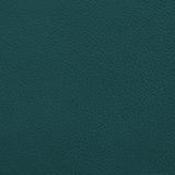 turquoise-leather.jpg